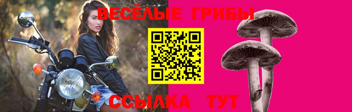 Галлюциногенные грибы Cubensis Качканар