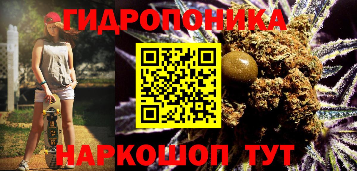 Шишки марихуана марихуана  Вход с VPN  Канабис Bruce Banner  Качканар 